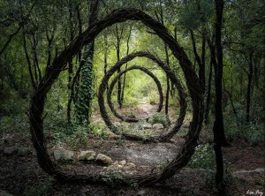 forest-land-art-nature-spencer-byles-110