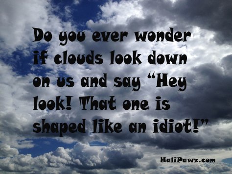 hey look that one is shaped like an idiot