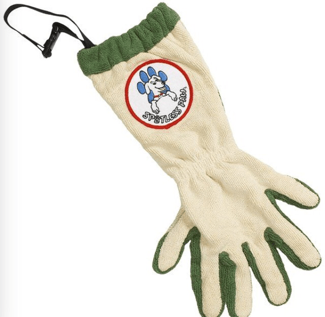 dog paws, clean, muddy paws