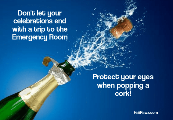 HaliPawz protect eye champagne cork