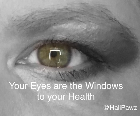 Health through eye exam, hazel eyes